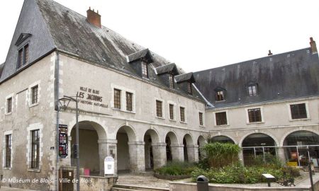 Muséum d'Histoire Naturelle, Blois